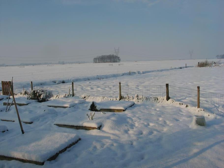 Out Of Amsterdam, River Apartment Close To City Брук-ін-Ватерланд Екстер'єр фото